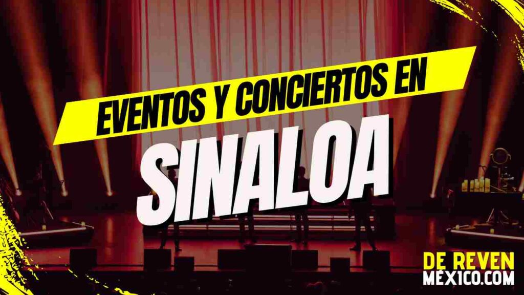 BANNER SINALOA 