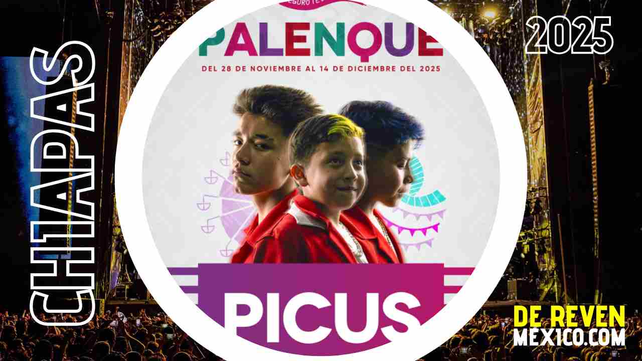 PICUS PALENQUE CHIAPAS 2025