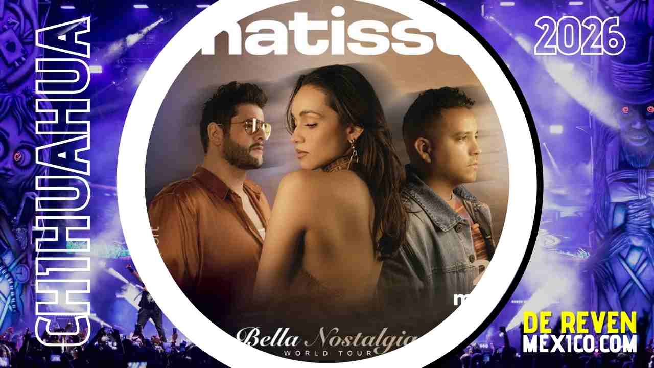 MATISSE CHIHUAHUA 2026 ARENA CORNER SPORT