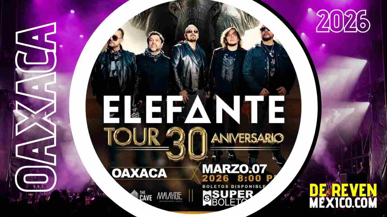 ELEFANTE OAXACA 2026 AUDITORIO GUELAGUETZA